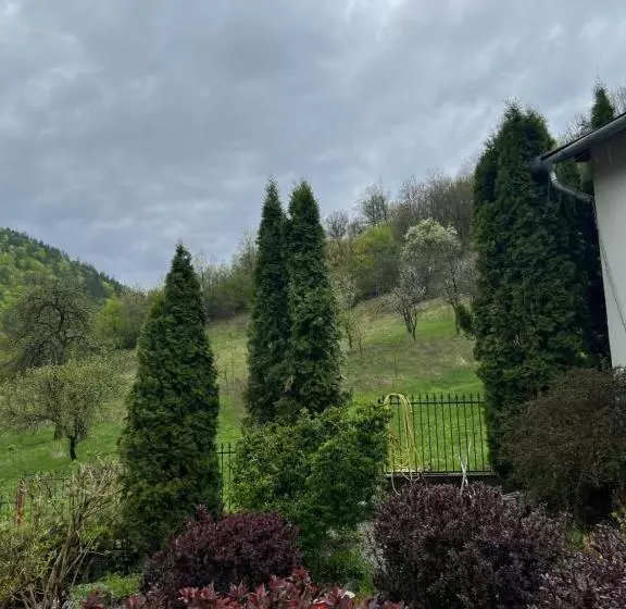 پانسیون Casa Dintre Brazi Hunedoara