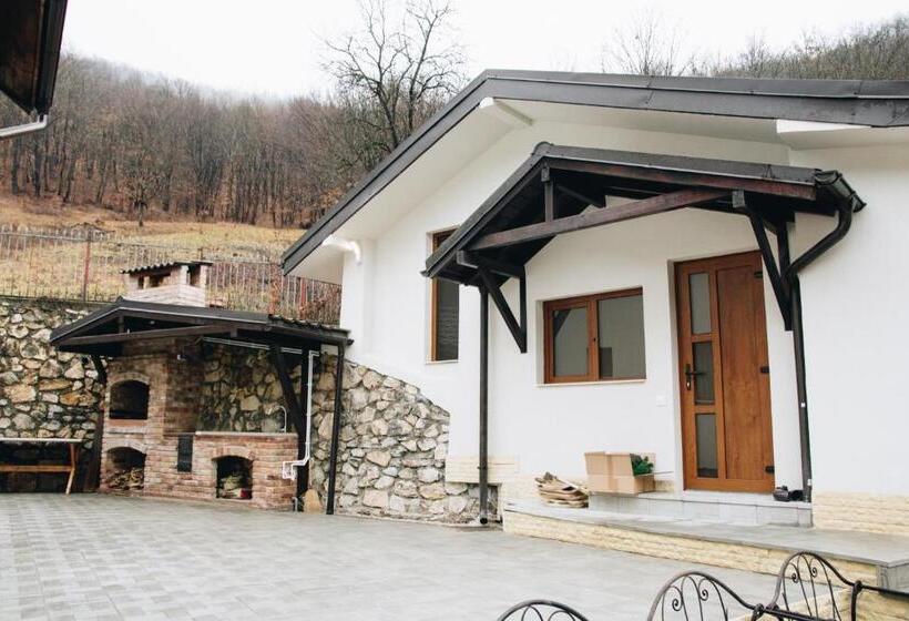 بنسيون Casa Dintre Brazi Hunedoara