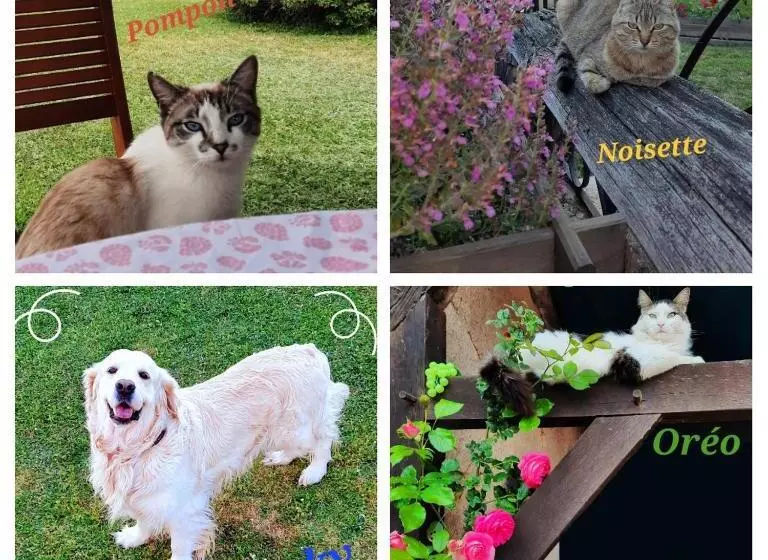 Majatalo La Maison Genevier   Chambre Doréline