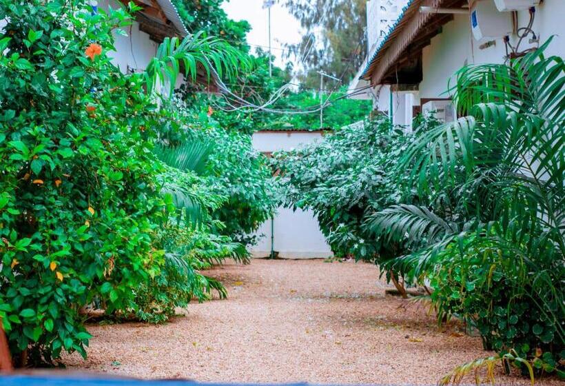 Pensionat Tamu House Pajé Beach