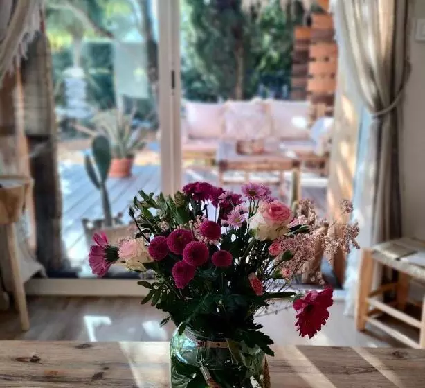 Aamiaismajoitus (B&B) La Cabane Bohème, Maison D Hôtes Bassin D Arcachon