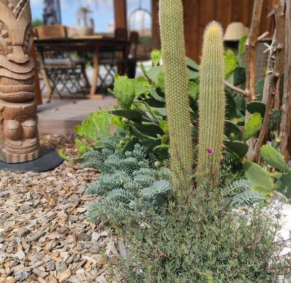 צימר La Cabane Bohème, Maison D Hôtes Bassin D Arcachon
