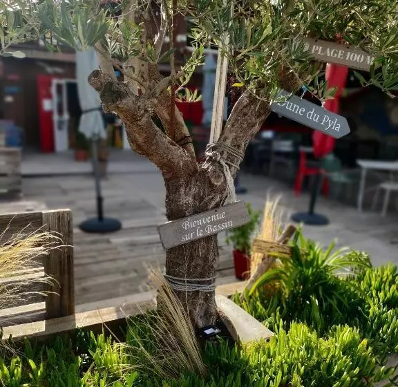 Aamiaismajoitus (B&B) La Cabane Bohème, Maison D Hôtes Bassin D Arcachon