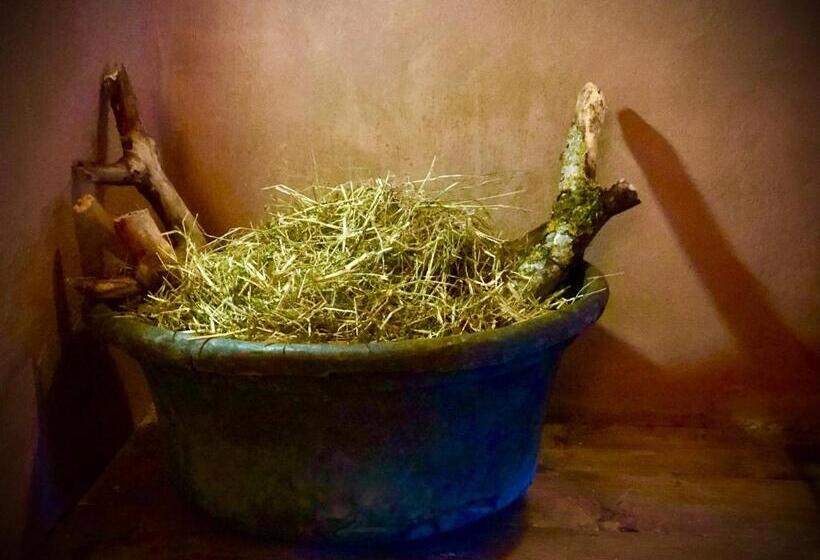 تختخواب و صبحانه Le Macine Del Perino