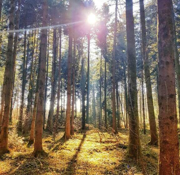 فندق Ferienhof Weber Nieratz