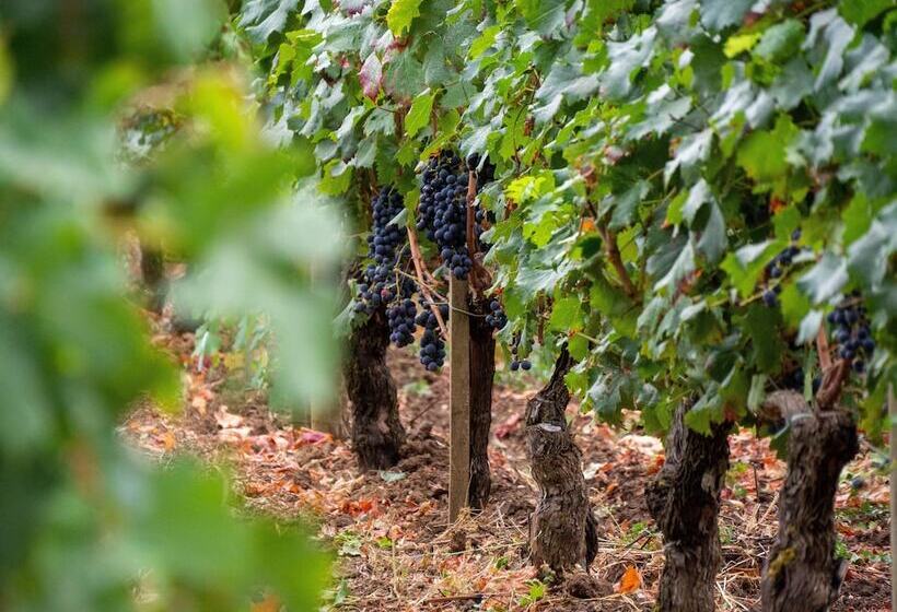 هتل Holiday Inn   Bordeaux Merignac, An Ihg