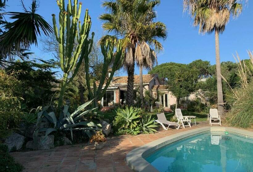 پانسیون Finca Filpi