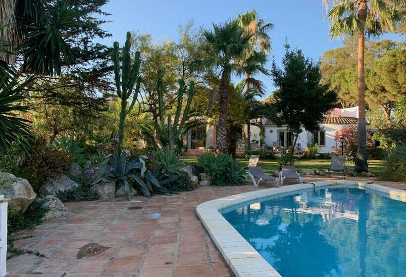 پانسیون Finca Filpi