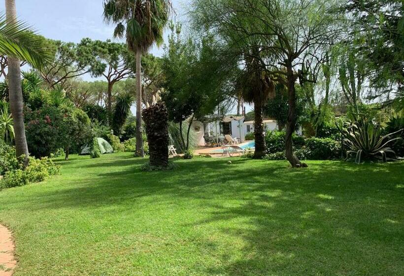 پانسیون Finca Filpi