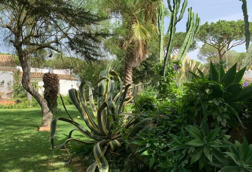 پانسیون Finca Filpi