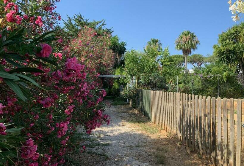 پانسیون Finca Filpi