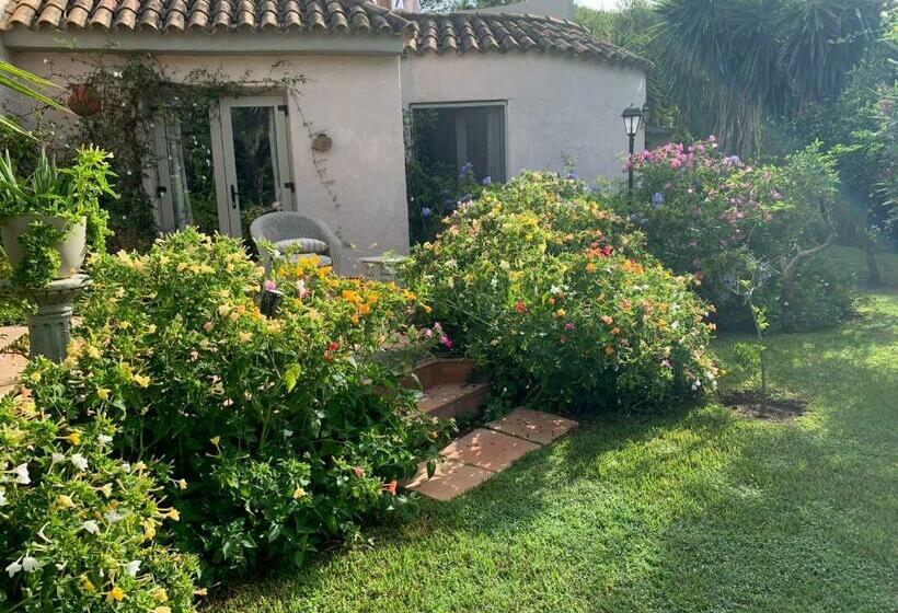 پانسیون Finca Filpi