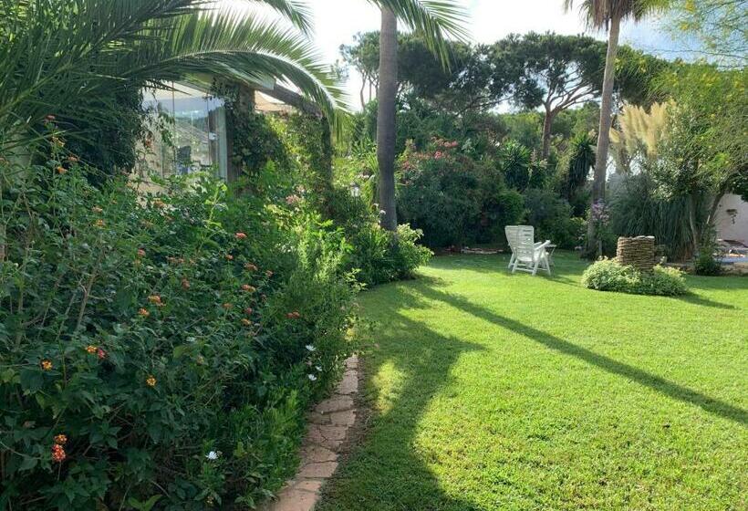 پانسیون Finca Filpi