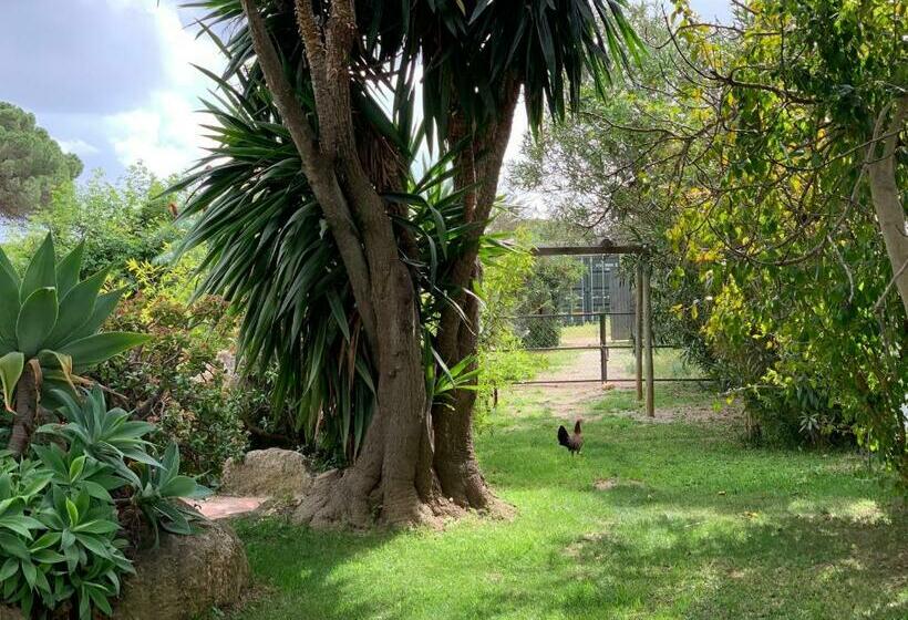 پانسیون Finca Filpi