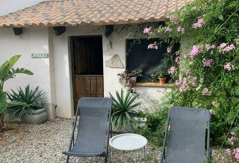 پانسیون Finca Filpi