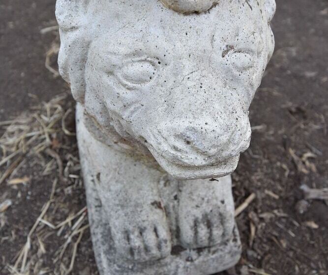 ペンション Gato Azul   Coliving