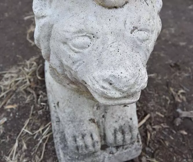 ペンション Gato Azul   Coliving