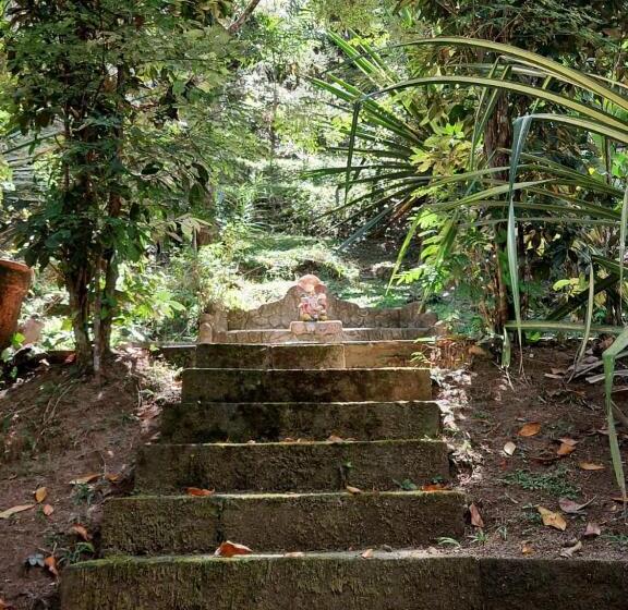 Pensionat Monte Carmelo Inn Sana