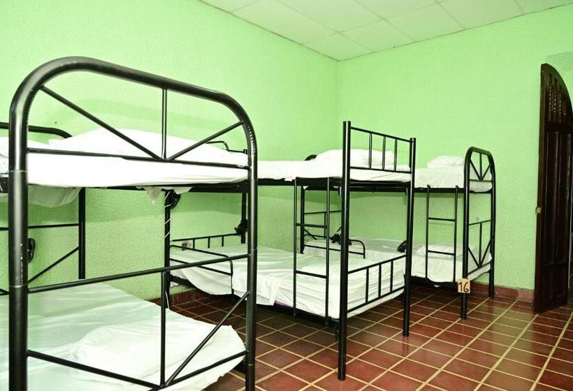 پانسیون Ricks Hostel Santa Ana