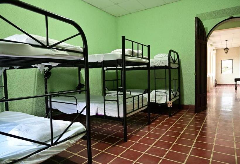 پانسیون Ricks Hostel Santa Ana