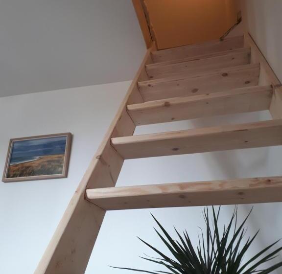 פנסיון Surf Hostel Quiberon, L Oyat