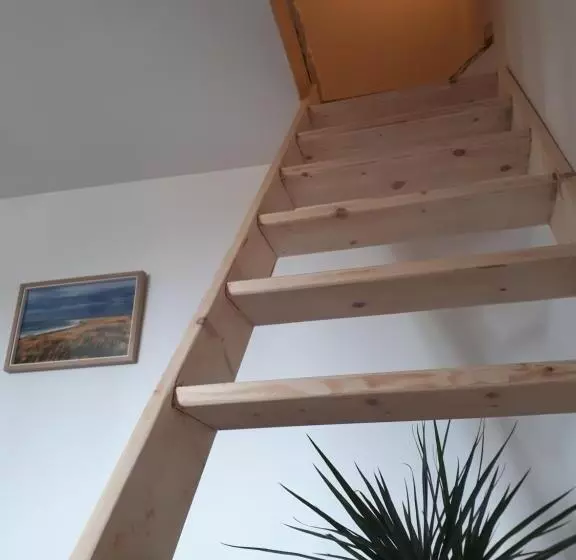 ペンション Surf Hostel Quiberon, L Oyat