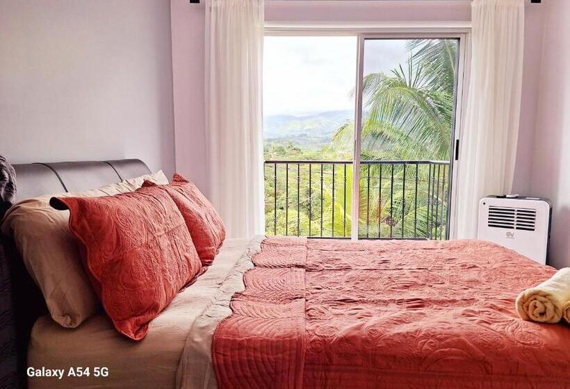 הוסטל Victoria House