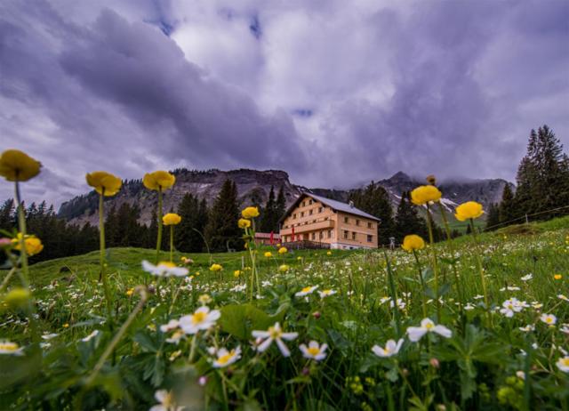 فندق صغير Edelweiß Am öberle