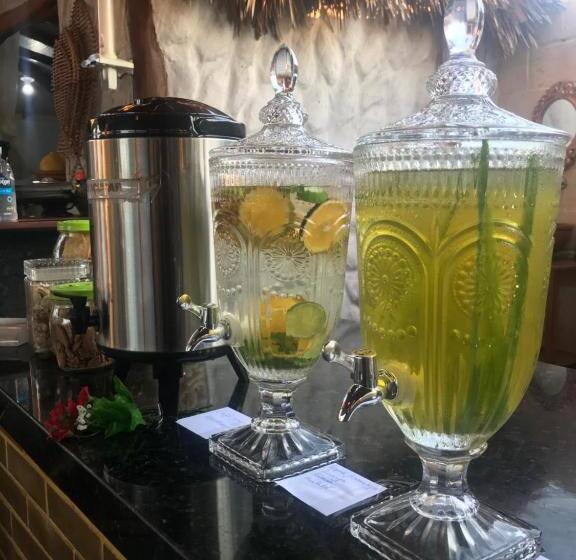 호스텔 Leão Beach Pousada