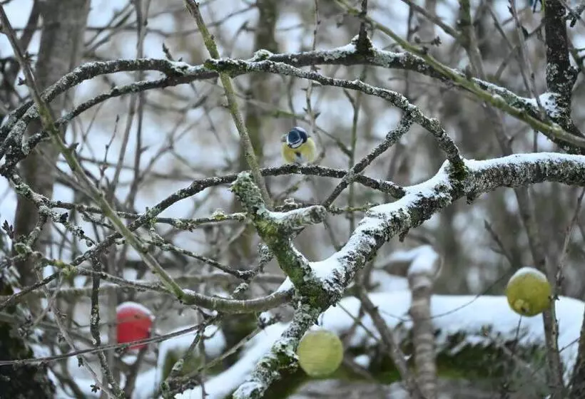ベッドアンドブレックファースト L Hôtié De Brocéliande à Paimpont, Au Coeur Des Sites Naturels Et Légendaires