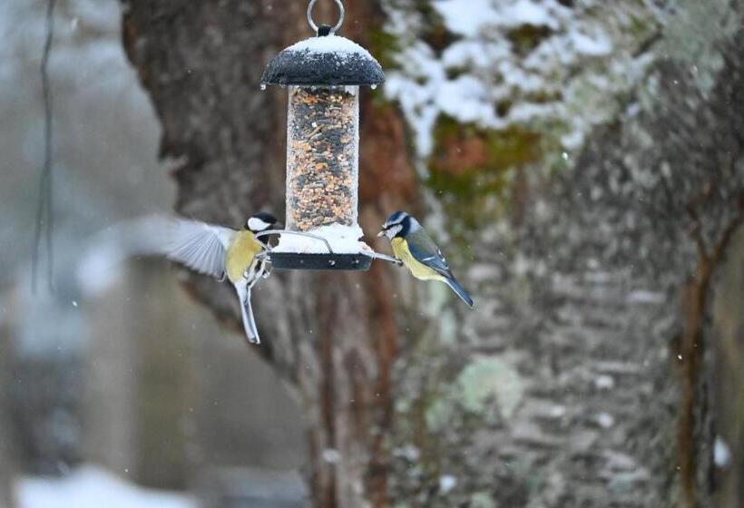 Bed and Breakfast L Hôtié De Brocéliande à Paimpont, Au Coeur Des Sites Naturels Et Légendaires