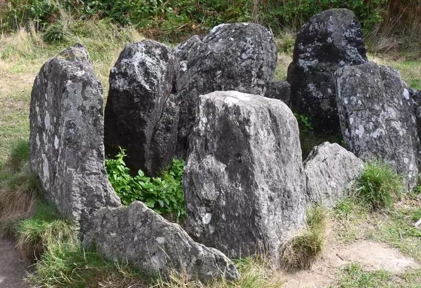 ベッドアンドブレックファースト L Hôtié De Brocéliande à Paimpont, Au Coeur Des Sites Naturels Et Légendaires