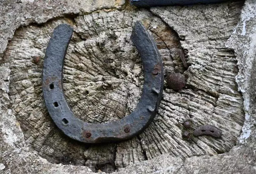 ベッドアンドブレックファースト L Hôtié De Brocéliande à Paimpont, Au Coeur Des Sites Naturels Et Légendaires