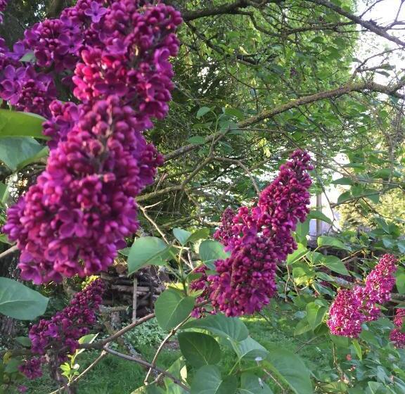 Bed and Breakfast L Hôtié De Brocéliande à Paimpont, Au Coeur Des Sites Naturels Et Légendaires