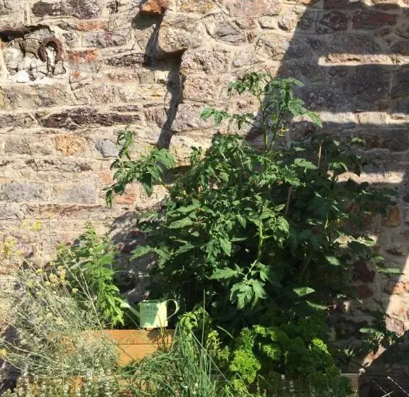ベッドアンドブレックファースト L Hôtié De Brocéliande à Paimpont, Au Coeur Des Sites Naturels Et Légendaires