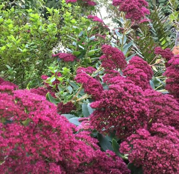Bed and Breakfast L Hôtié De Brocéliande à Paimpont, Au Coeur Des Sites Naturels Et Légendaires