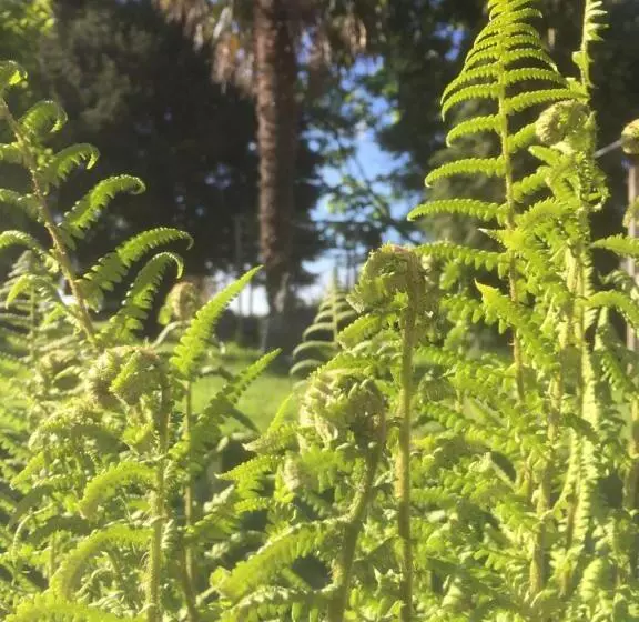 ベッドアンドブレックファースト L Hôtié De Brocéliande à Paimpont, Au Coeur Des Sites Naturels Et Légendaires