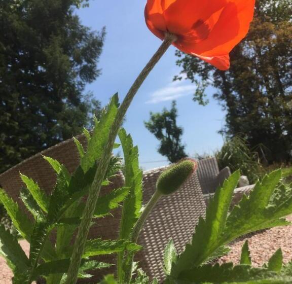 Bed and Breakfast L Hôtié De Brocéliande à Paimpont, Au Coeur Des Sites Naturels Et Légendaires