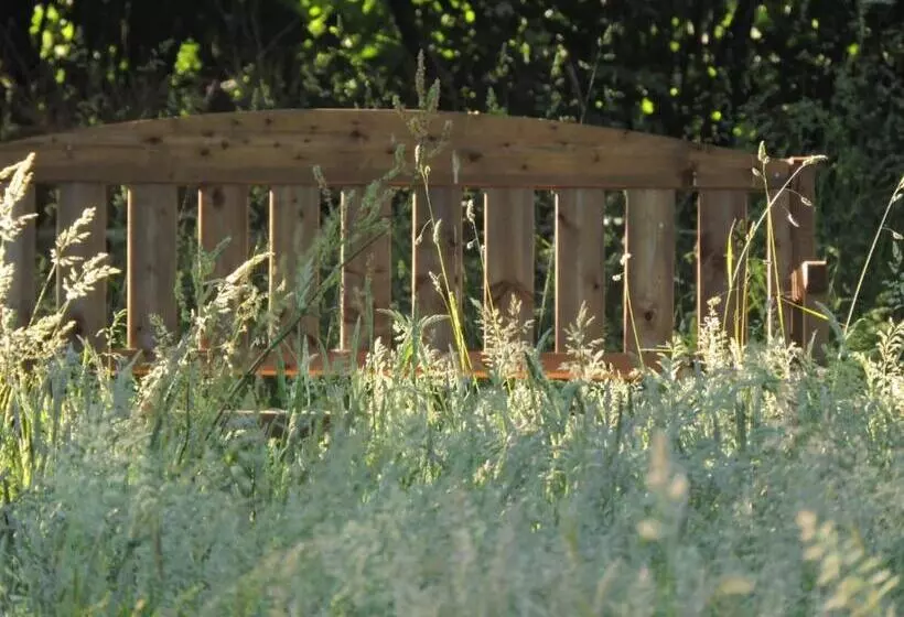 ベッドアンドブレックファースト L Hôtié De Brocéliande à Paimpont, Au Coeur Des Sites Naturels Et Légendaires