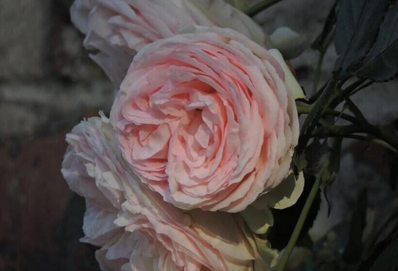 Bed and Breakfast L Hôtié De Brocéliande à Paimpont, Au Coeur Des Sites Naturels Et Légendaires