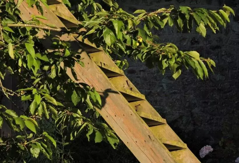 ベッドアンドブレックファースト L Hôtié De Brocéliande à Paimpont, Au Coeur Des Sites Naturels Et Légendaires