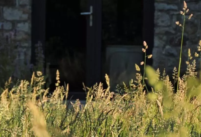 ベッドアンドブレックファースト L Hôtié De Brocéliande à Paimpont, Au Coeur Des Sites Naturels Et Légendaires