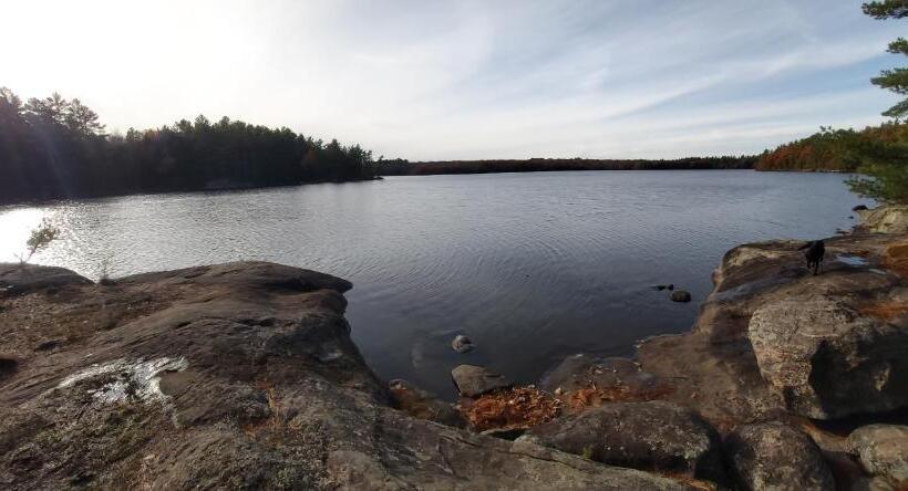 Blue Spruce B&b Muskoka