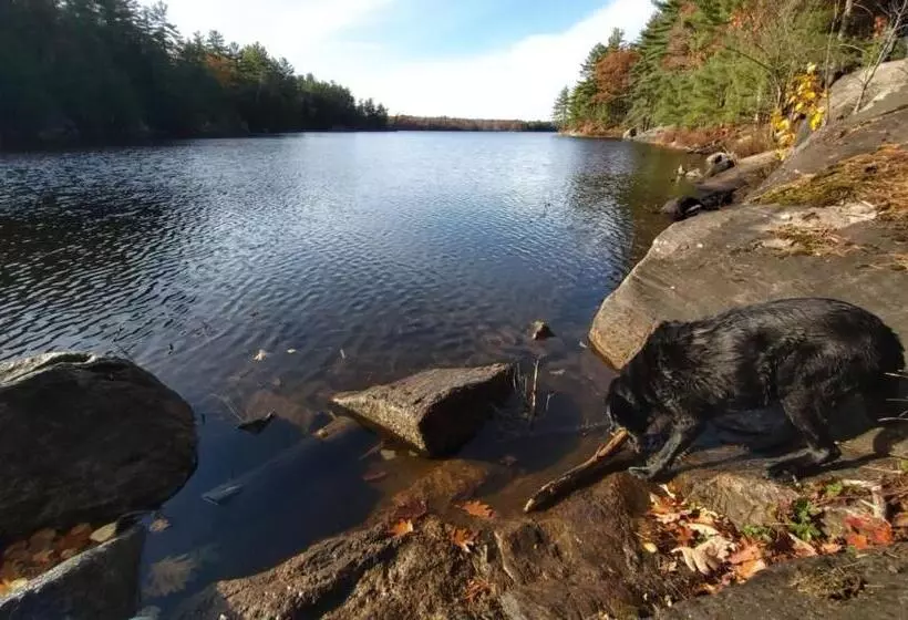 Blue Spruce B&b Muskoka