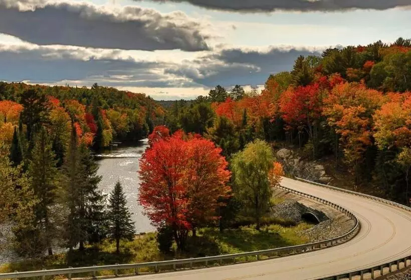 Blue Spruce B&b Muskoka