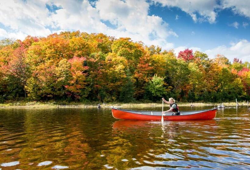 Blue Spruce B&b Muskoka
