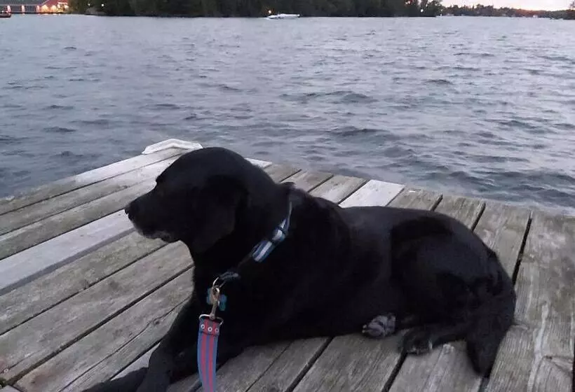 Blue Spruce B&b Muskoka