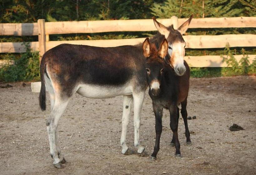 هتل Agriturismo L  Isola Di Arturo