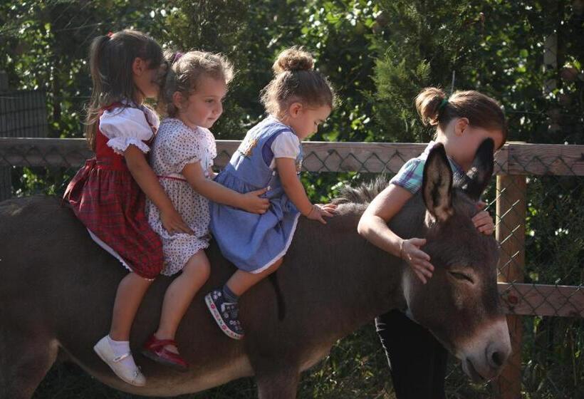 هتل Agriturismo L  Isola Di Arturo