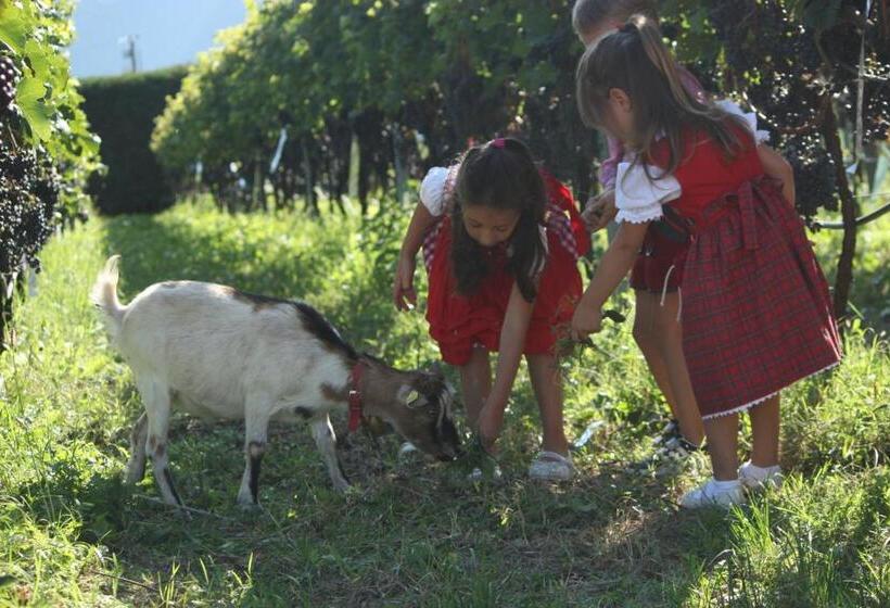 هتل Agriturismo L  Isola Di Arturo